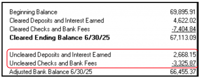 Adj Bank Balance 3.png