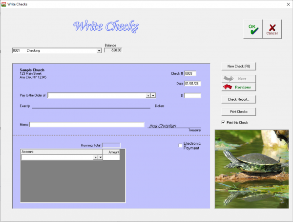 Write Checks screen.png
